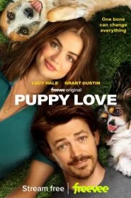 Puppy Love